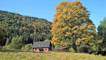 Фото Лоджи Królikówka г. Строне-Слёнске 1